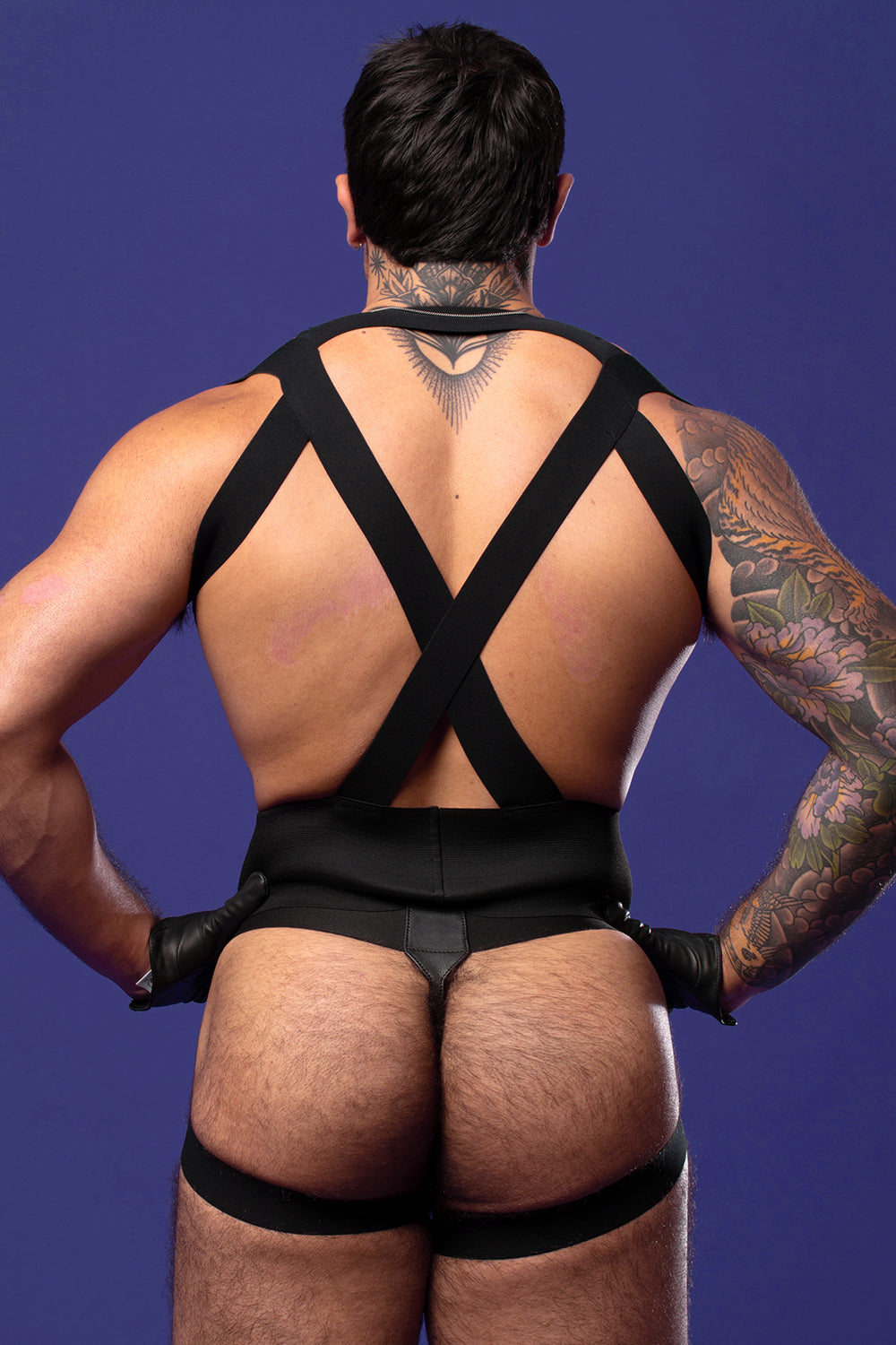 Tuxedo Harness