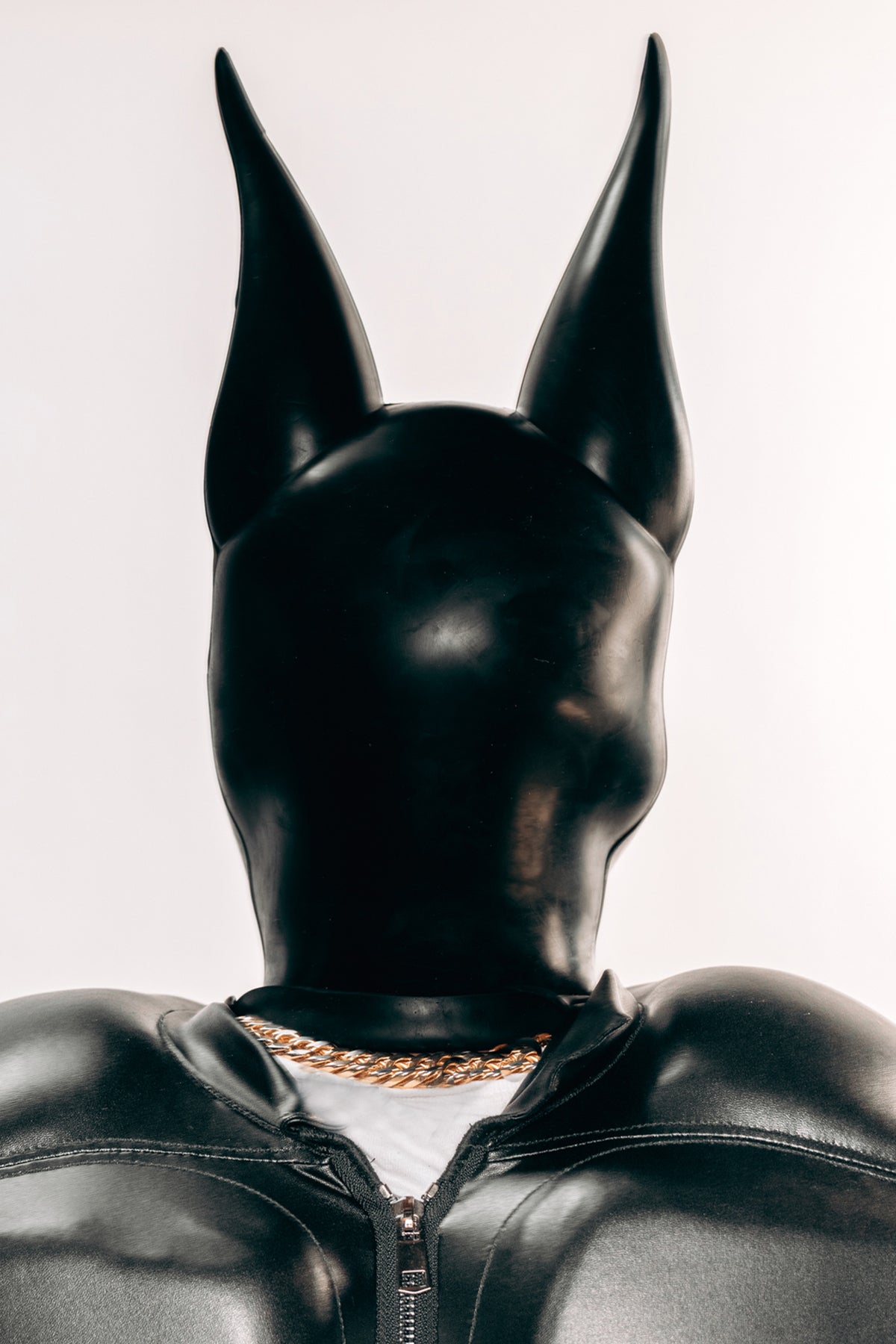 Doberman Mask