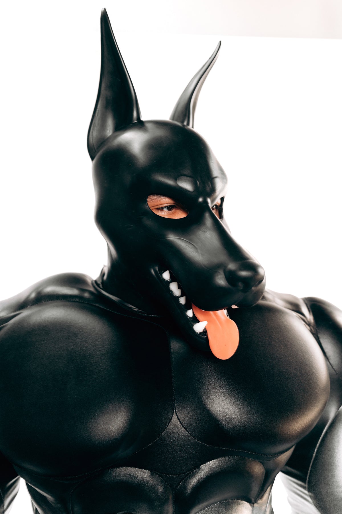 Doberman Mask