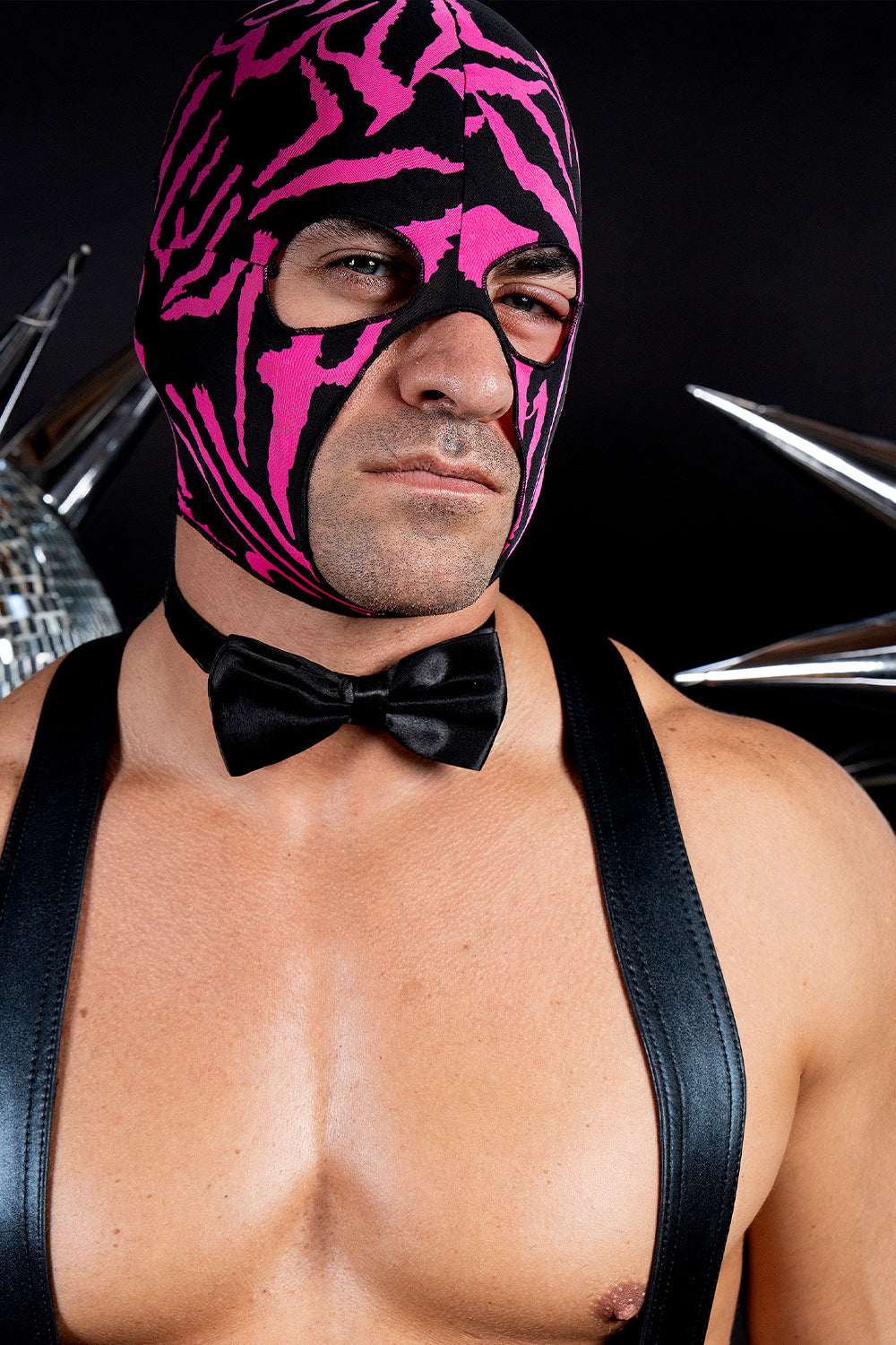 Wrestling Mask