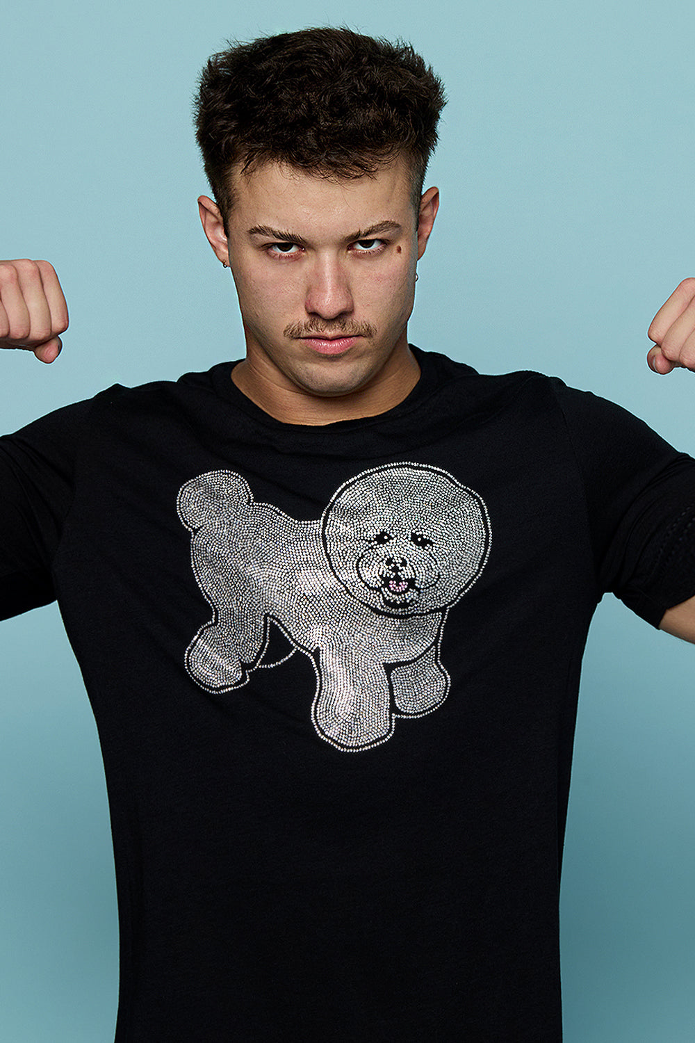 Precious, little diamond tee shirt (Swarovski Bichon Frisé)