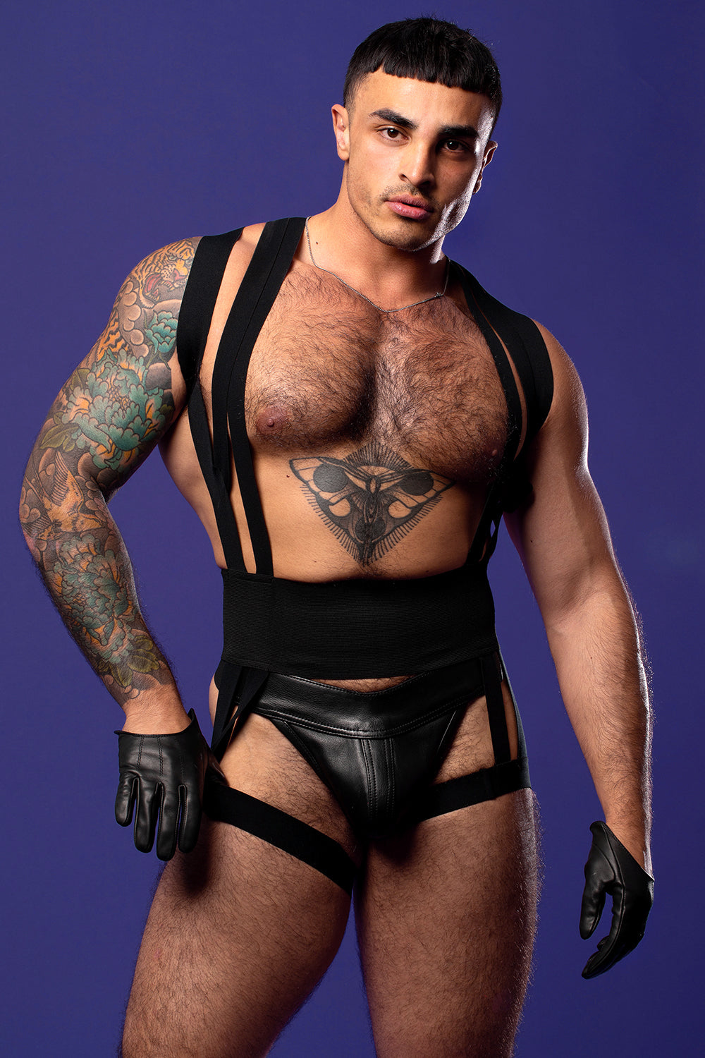 Tuxedo Harness