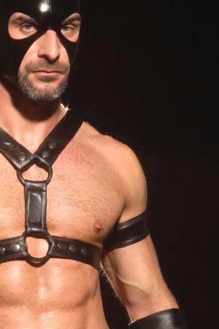 FLEX-FIT ARMBAND - Slick It Up 